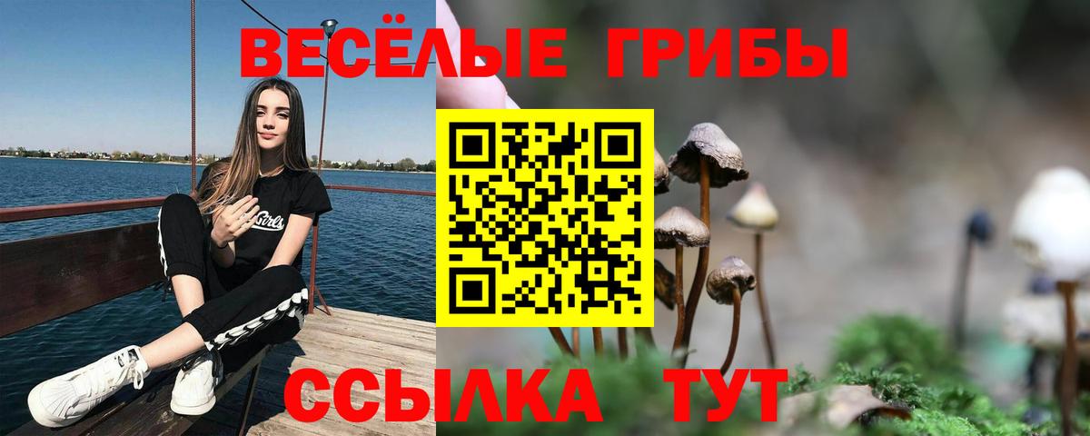Псилоцибиновые грибы Magic Shrooms Шелехов