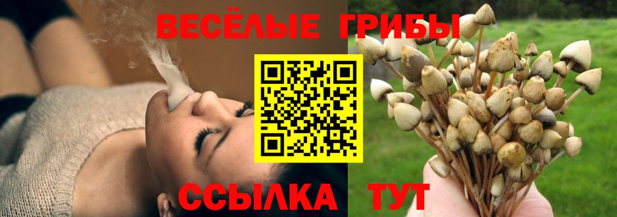 Псилоцибиновые грибы Cubensis  Псилоцибиновые грибы Psilocybine cubensis  Вход с VPN  Шелехов 